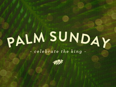 Palm bokeh palm sunday title 1 still 4x3