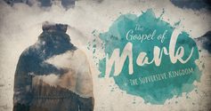 Mark web banner prf01