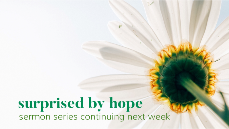 Surprised by Hope